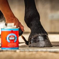 Corn Daily Hoof Dressing -Horse Supply Store go 301893 c