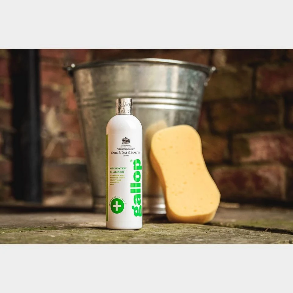 Medicated Shampoo (500ml) 4 Medicated Shampoo (500ml) - Image 2