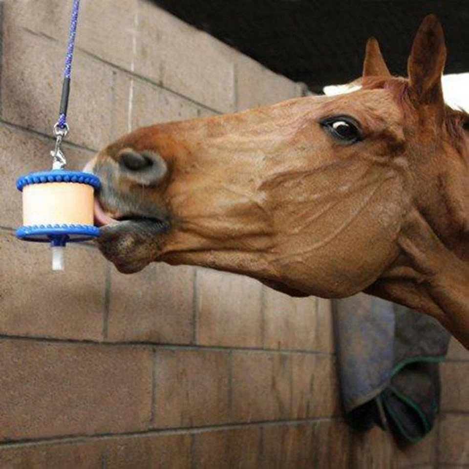 Mint 4 Mint - Image 2