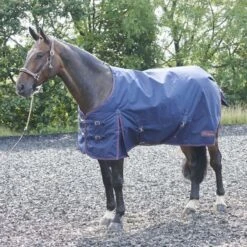 Rastrick 200g Turnout Rug -Horse Supply Store go 402626 z