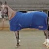 Rastrick Fleece Rug 2 Rastrick Fleece Rug -Horse Supply Store go 402631 a