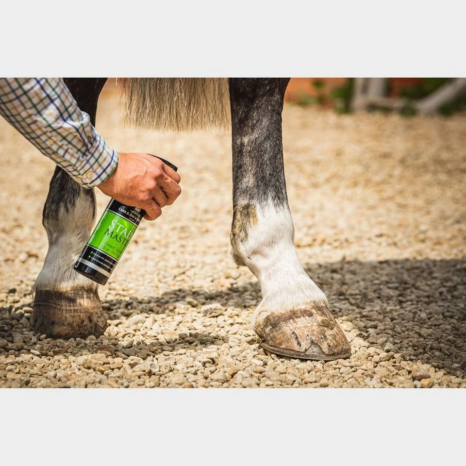 Stain Master 4 Stain Master - Image 2