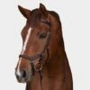 Rambo Micklem Competition Bridle 1 Rambo Micklem Competition Bridle -Horse Supply Store go 477658 a