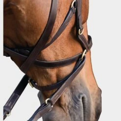 Rambo Micklem Multibridle -Horse Supply Store go 477660 c