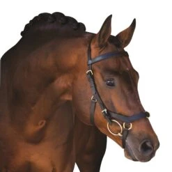 Rambo Micklem Multibridle -Horse Supply Store go 477660 z