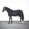 Sportz-Vibe Rug 1 Sportz-Vibe Rug -Horse Supply Store go 477667 a