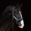 Rambo Padded Headcollar -Horse Supply Store go 477691 a