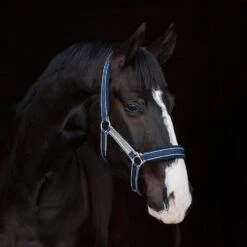 Rambo Padded Headcollar -Horse Supply Store go 477691 z