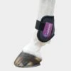 ARMA Fetlock Boots Black/Plum -Horse Supply Store go 477831 a