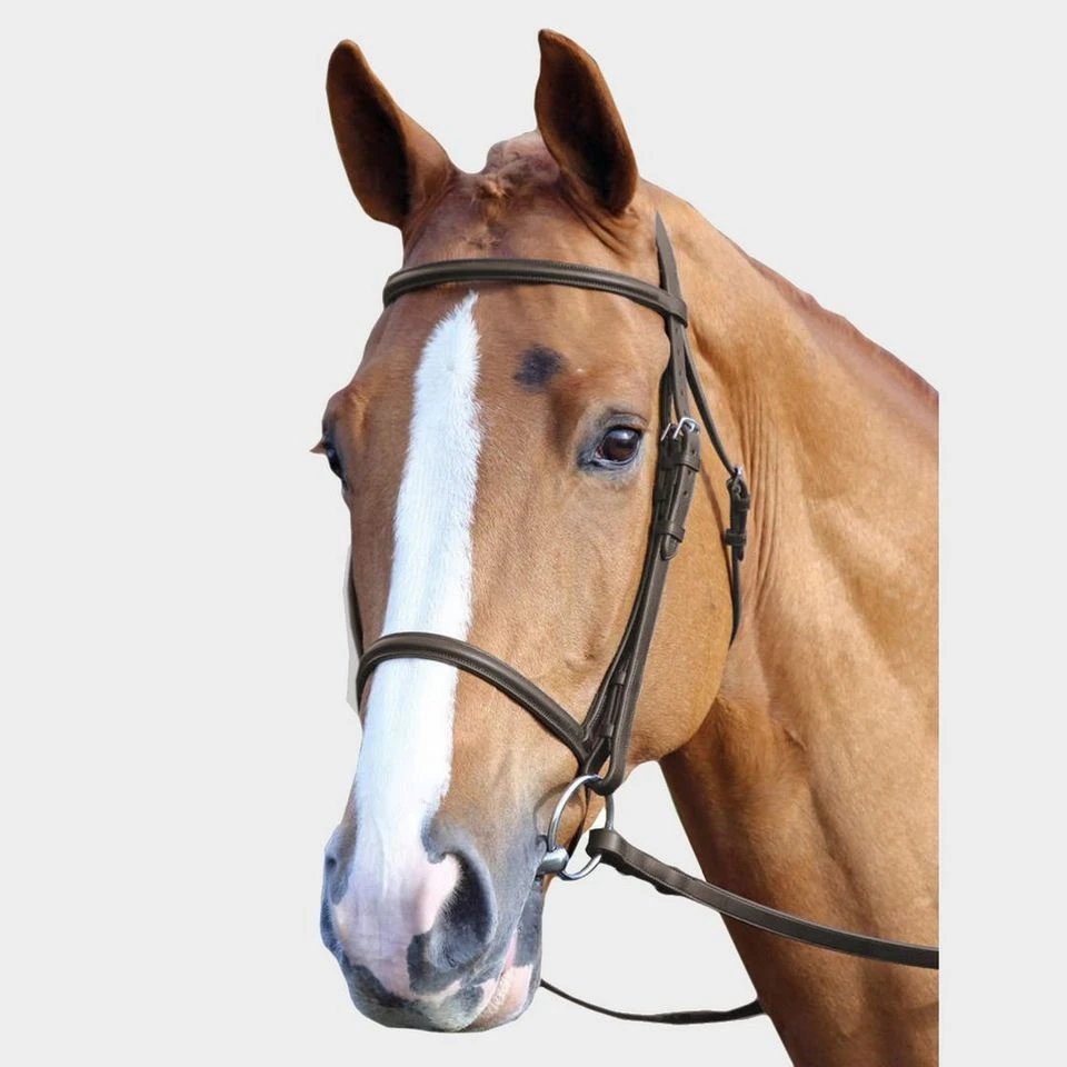 Raised Cavesson Bridle 3 Raised Cavesson Bridle