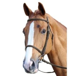 Raised Cavesson Bridle 5 Raised Cavesson Bridle -Horse Supply Store go 477854 z