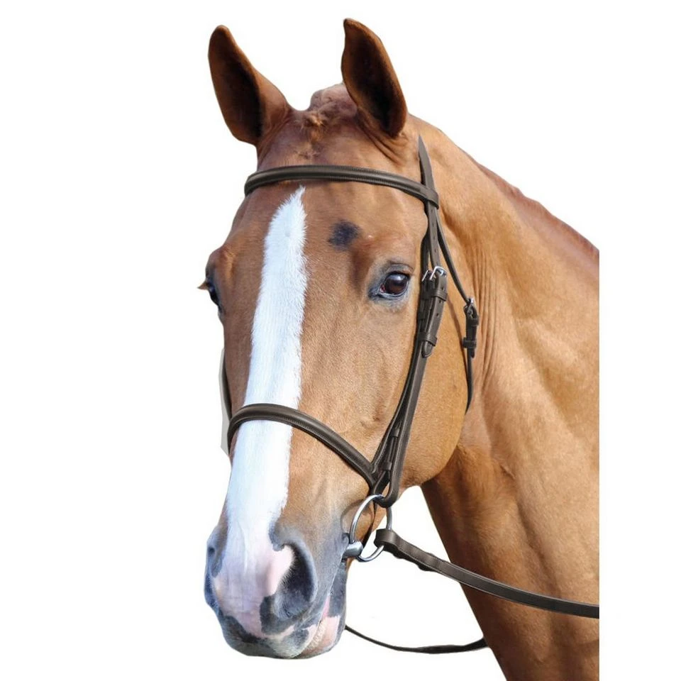 Raised Cavesson Bridle 4 Raised Cavesson Bridle - Image 2