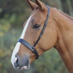 Cavesson Hunt Noseband Black