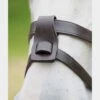 Flash Attachment -Horse Supply Store go 477915 a