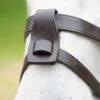 Flash Attachment -Horse Supply Store go 477916 a