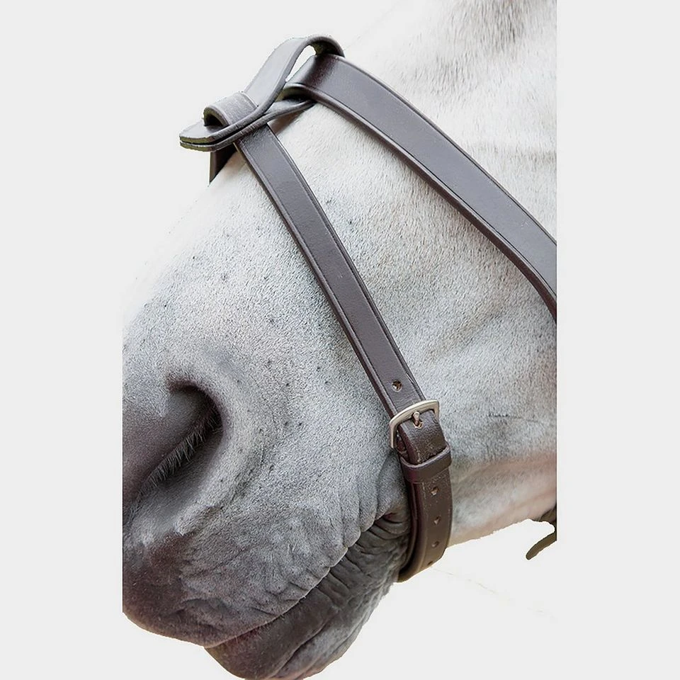 Flash Attachment 4 Flash Attachment - Image 2