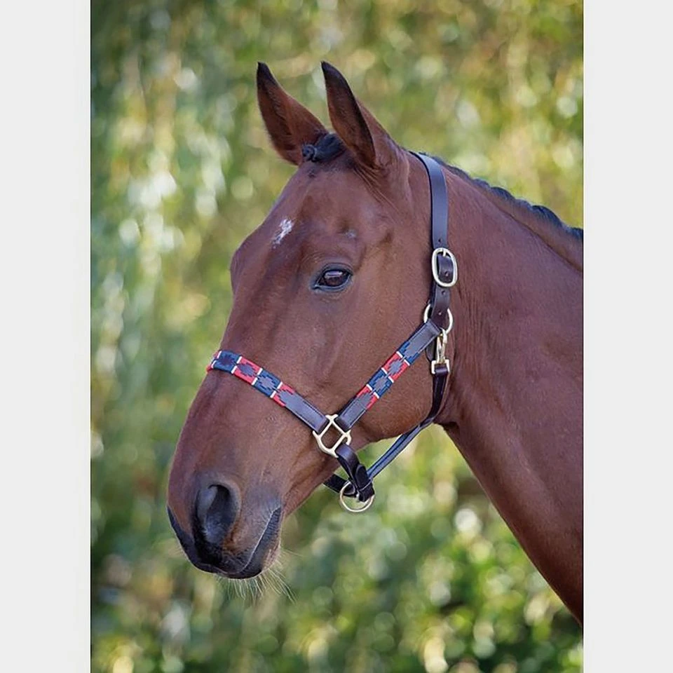 Leather Polo Headcollar 3 Leather Polo Headcollar