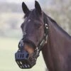 Muzzle Head Collar 2 Muzzle Head Collar -Horse Supply Store go 477945 a