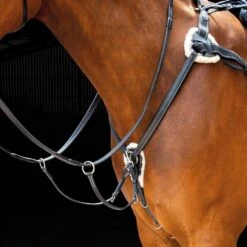 Salisbury 5 Point Breastplate -Horse Supply Store go 477988 z