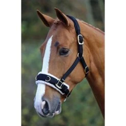 Fleece Lined Lunge Cavesson -Horse Supply Store go 478050 z