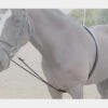Soft Lunge Aid -Horse Supply Store go 478083 a