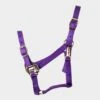 Nylon Headcollar Purple 1 Nylon Headcollar Purple -Horse Supply Store go 478388 a