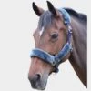 Fleece Lined Headcollar Navy/Grey -Horse Supply Store go 478404 a