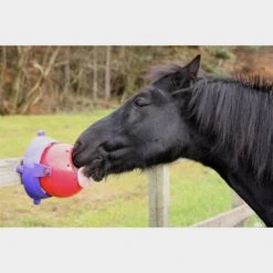 Tongue Twister -Horse Supply Store go 478420 c