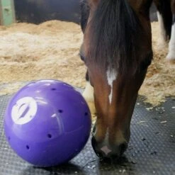 Snak-A-Ball 9 Snak-A-Ball -Horse Supply Store go 478433 c