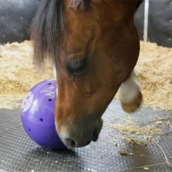 Snak-A-Ball 10 Snak-A-Ball -Horse Supply Store go 478433 d