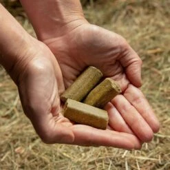 Spearmint Treats 8 Spearmint Treats -Horse Supply Store go 478456 c