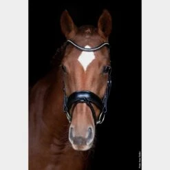 Stanford Flash Bridle Black -Horse Supply Store go 479207 c