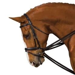 Web Draw Reins Set -Horse Supply Store go 479332 z