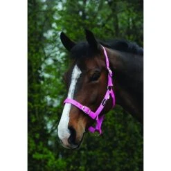 Saxon Economy Headcollar -Horse Supply Store go 479468 z