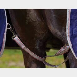 Weatherbeeta ComFiTec Classic 0g Lightweight Standard Neck Turnout Rug -Horse Supply Store go 479488 h