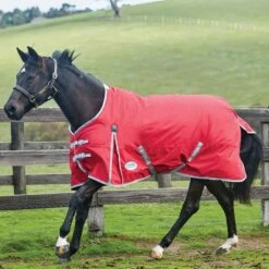 Weatherbeeta ComFiTec Classic 0g Lightweight Standard Neck Turnout Rug -Horse Supply Store go 479488 z