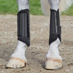 Weatherbeeta Eventing Hind Boots 8 Weatherbeeta Eventing Hind Boots -Horse Supply Store go 479495 c