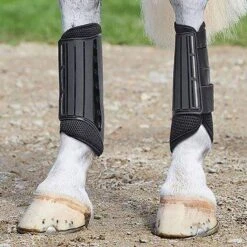 Weatherbeeta Eventing Hind Boots 9 Weatherbeeta Eventing Hind Boots -Horse Supply Store go 479495 z