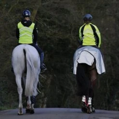 Weatherbeeta Reflective Wrap Exercise Sheet -Horse Supply Store go 479506 g