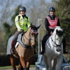 Weatherbeeta Reflective Wrap Exercise Sheet -Horse Supply Store go 479506 h