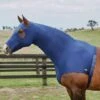 Weatherbeeta Stretch Hood With Zip Navy -Horse Supply Store go 479517 a