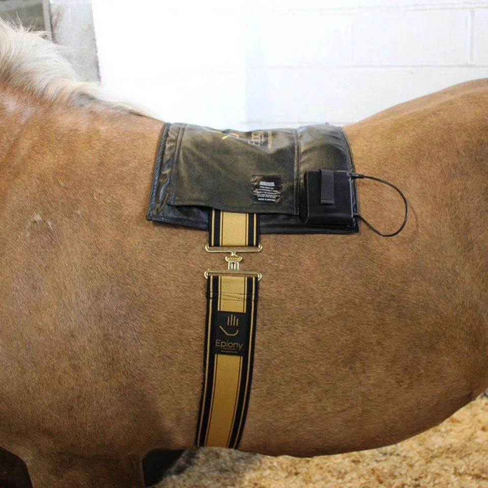 Therapy Heat Pad 4 Therapy Heat Pad - Image 2