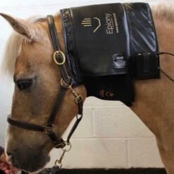 Therapy Heat Pad 8 Therapy Heat Pad -Horse Supply Store go 479853 c