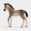 Schleich Andalusian Foal 1 Schleich Andalusian Foal -Horse Supply Store go 499757 a