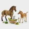 Baby Animal Groom Set 1 Baby Animal Groom Set -Horse Supply Store go 499760 a