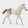 Schleich Holsteiner Foal 2 Schleich Holsteiner Foal -Horse Supply Store go 499784 a