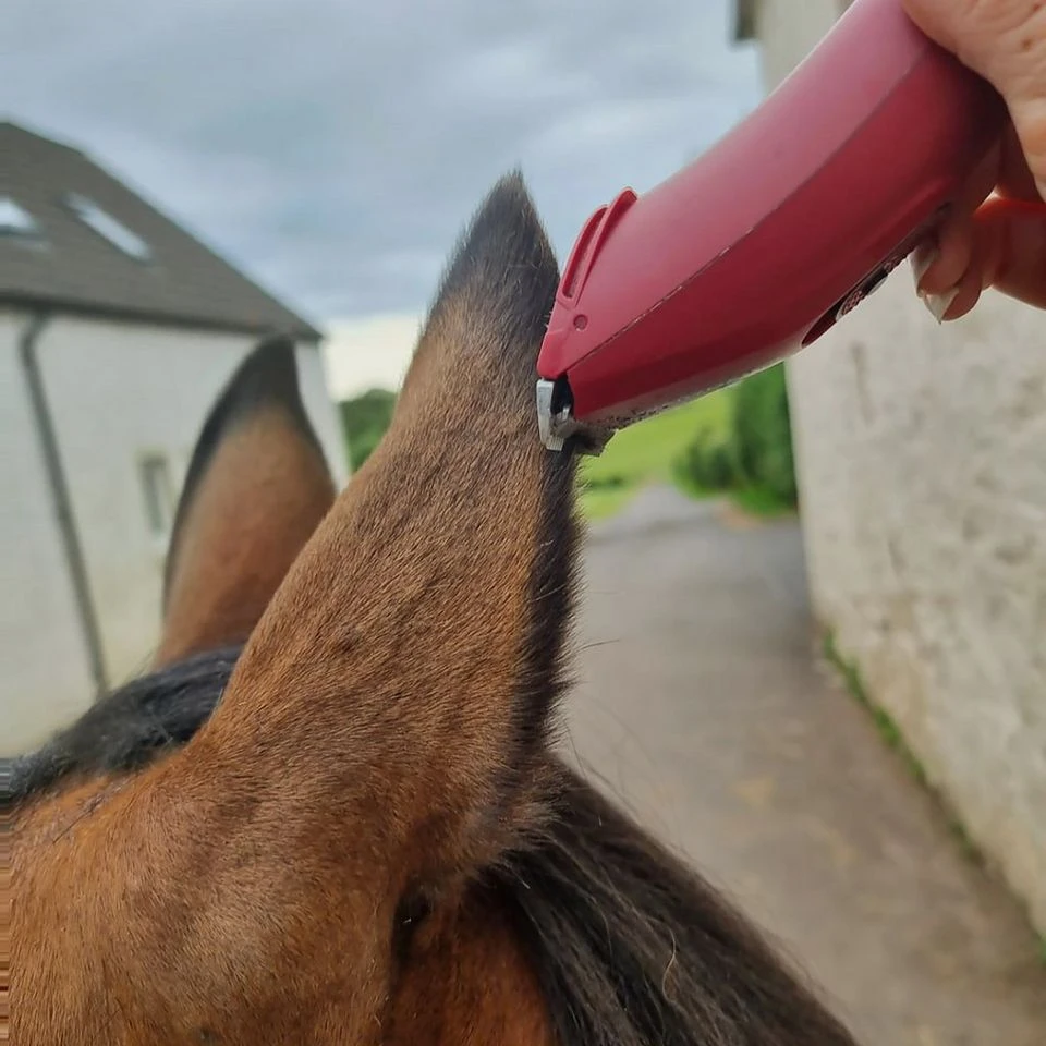 Nova Trimmer 7 Nova Trimmer - Image 5