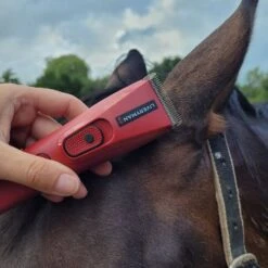 Nova Trimmer 21 Nova Trimmer -Horse Supply Store go 517244 f