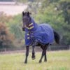 Tempest Original 300g Heavyweight Combo Neck Turnout Rug -Horse Supply Store go 517260 a
