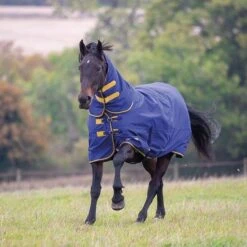 Tempest Original 300g Heavyweight Combo Neck Turnout Rug -Horse Supply Store go 517260 z